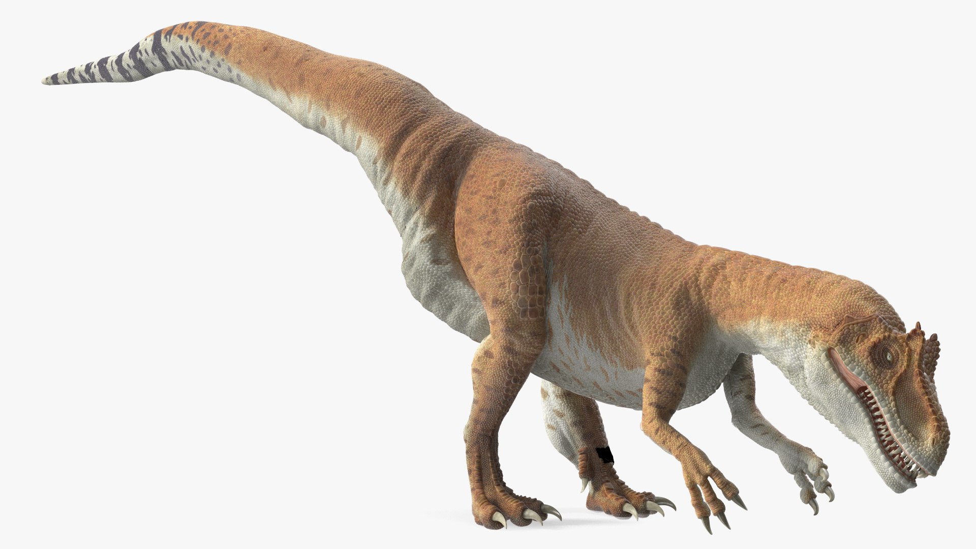 Allosaurus Yellow Coloring Rigged for Cinema 4D 3D https://p.turbosquid.com/ts-thumb/14/vKYXlo/iY/allosaurusyellowcoloringriggedforcinema4dc4dmodel014/jpg/1703237453/1920x1080/fit_q87/e032a14e503beb213d592d471f2e4ade5bda0c92/allosaurusyellowcoloringriggedforcinema4dc4dmodel014.jpg