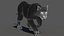 Puma Animated