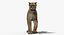 Puma Animated