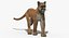 Puma Animated