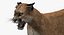 Puma Animated