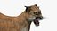 Puma Animated