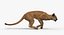 Puma Animated