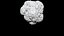 broccoli 3D CT scan model decimate 3percent