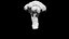 broccoli 3D CT scan model decimate 3percent