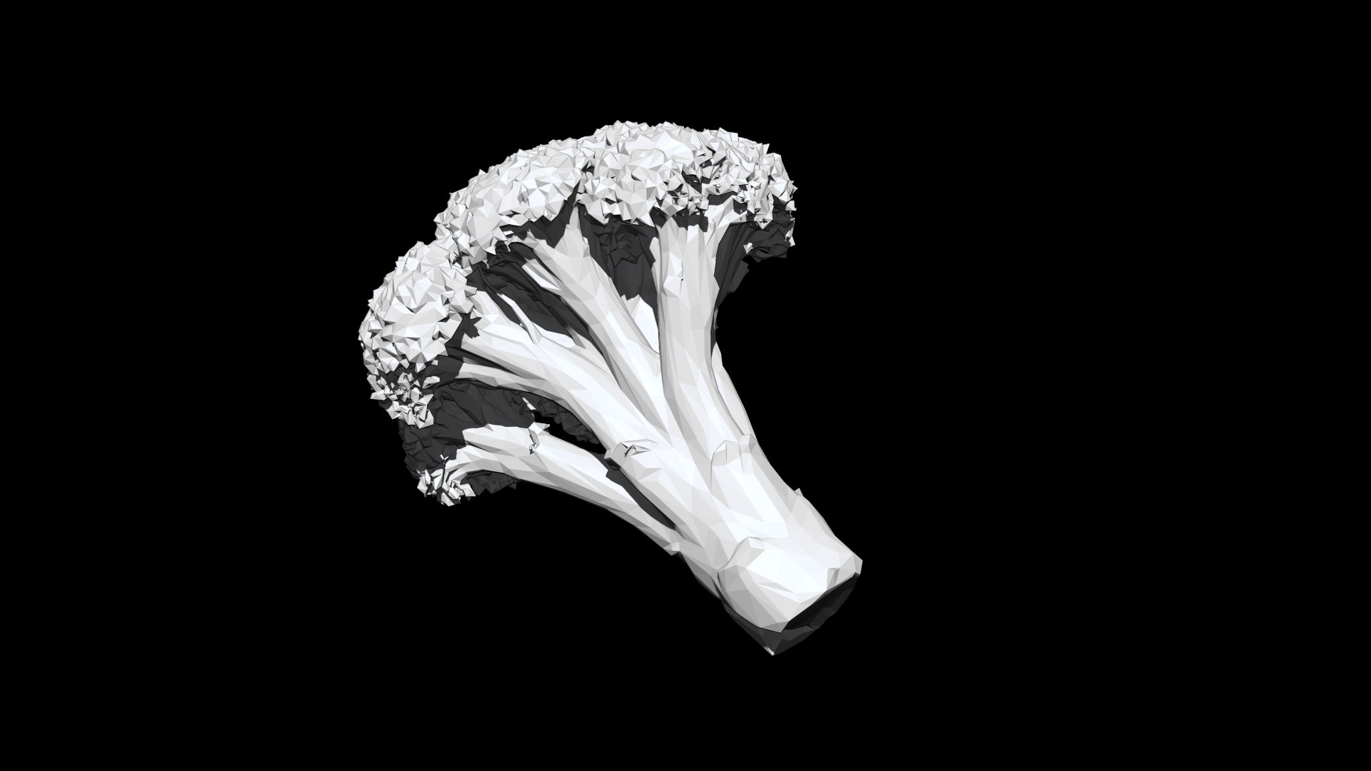 3D broccoli 3D CT scan model decimate 3percent model https://p.turbosquid.com/ts-thumb/15/8Ux6CV/wx/3/png/1650503553/1920x1080/fit_q87/10d7490efa82aac01a7719dd5c2a5433f0ec4492/3.jpg
