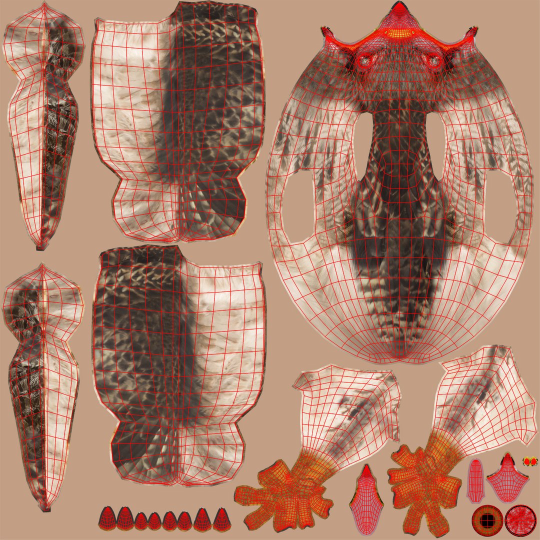 3d model buteo jamaicensis red-tailed hawk https://p.turbosquid.com/ts-thumb/15/BuT1Dj/5ZY29uaW/uv01/jpg/1393231934/1920x1080/fit_q87/786599978b06c8ca55fe5581fd08da4cd1fa4b3a/uv01.jpg