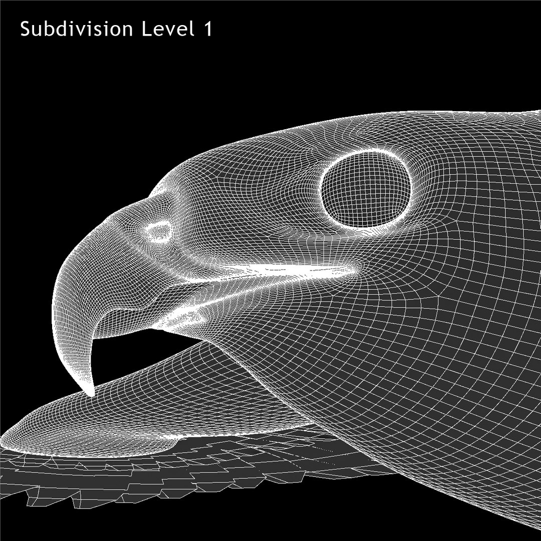 3d model buteo jamaicensis red-tailed hawk https://p.turbosquid.com/ts-thumb/15/BuT1Dj/MKjze1sD/ww07/jpg/1394476086/1920x1080/fit_q87/bb939ea08cee105a0dec8084651dc942ae99cb7a/ww07.jpg