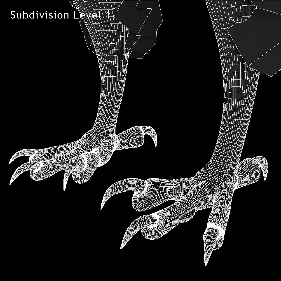 3d model buteo jamaicensis red-tailed hawk https://p.turbosquid.com/ts-thumb/15/BuT1Dj/nhdLLA15/ww01/jpg/1394476086/1920x1080/fit_q87/9a990429b3e5002dadd77299a337f8a31969507a/ww01.jpg