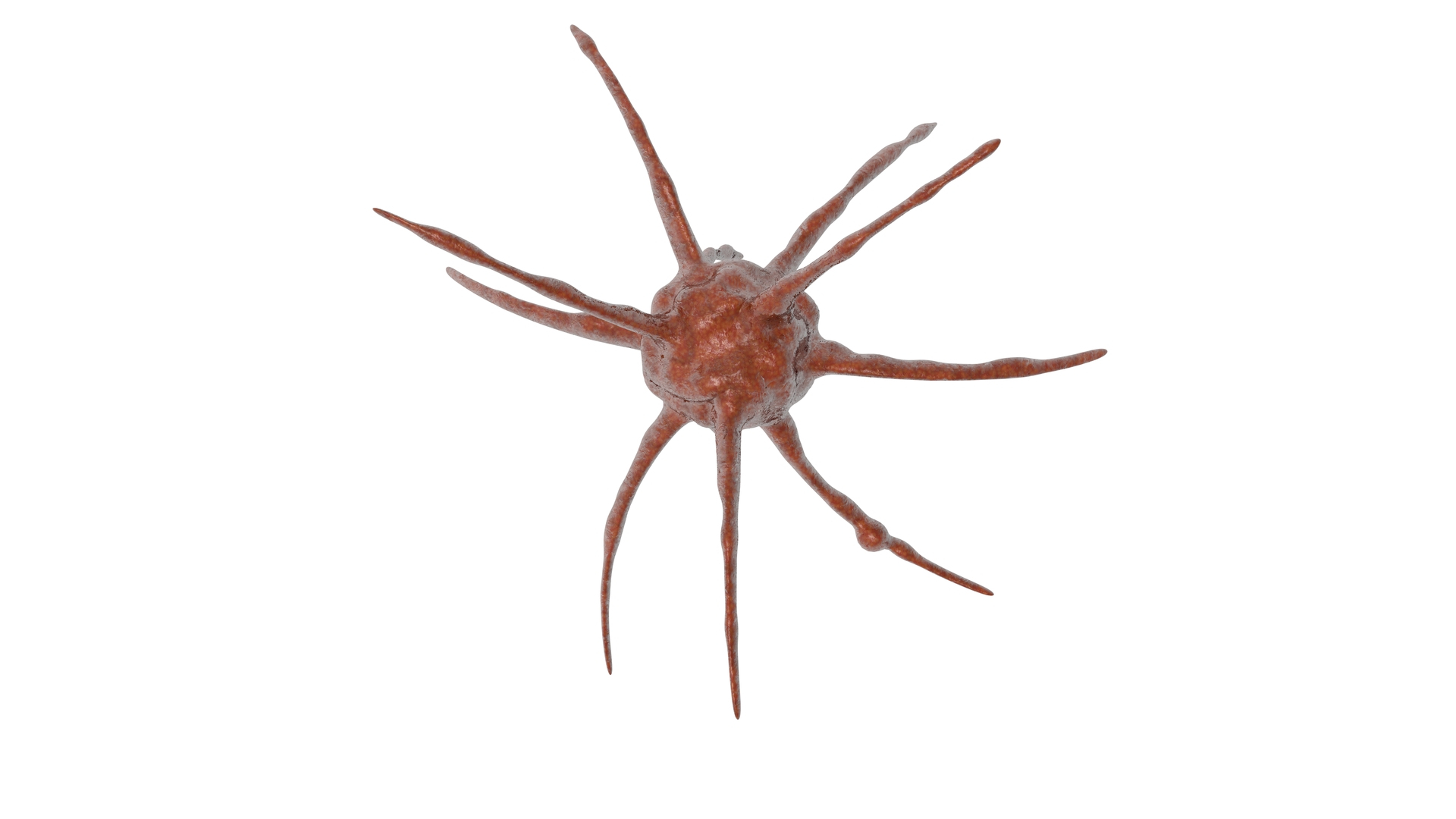 - 3D model https://p.turbosquid.com/ts-thumb/15/Clzd4q/71/coronacov/jpg/1611722575/1920x1080/turn_fit_q99/3e7484d0198a4e24268ffa0d137a4b416d1f086b/coronacov-1.jpg