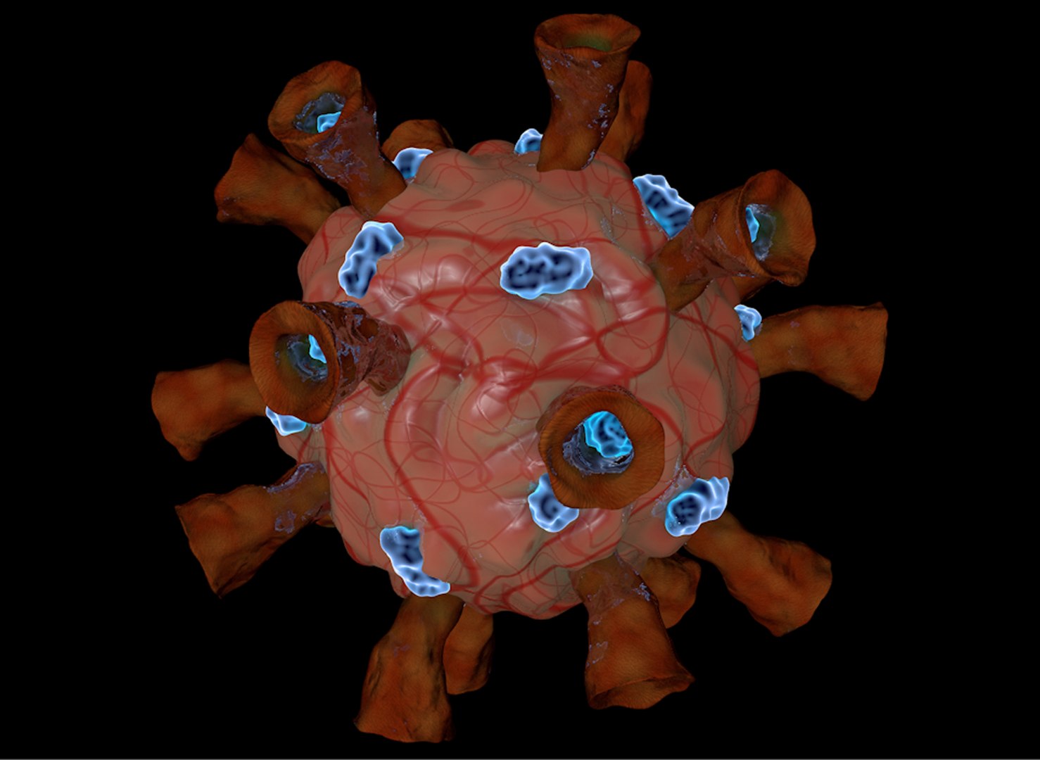 - 3D model https://p.turbosquid.com/ts-thumb/15/Clzd4q/B5/4cor_867yr/png/1611434751/1920x1080/fit_q87/443d6ea67c5f55a055ec30991d0f71c9f353f3a4/4cor_867yr.jpg