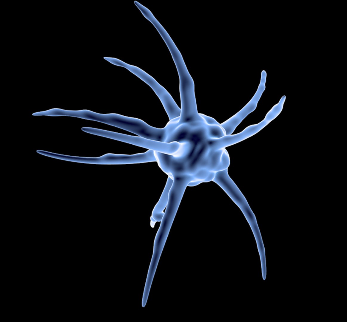 - 3D Model - TurboSquid 1682309