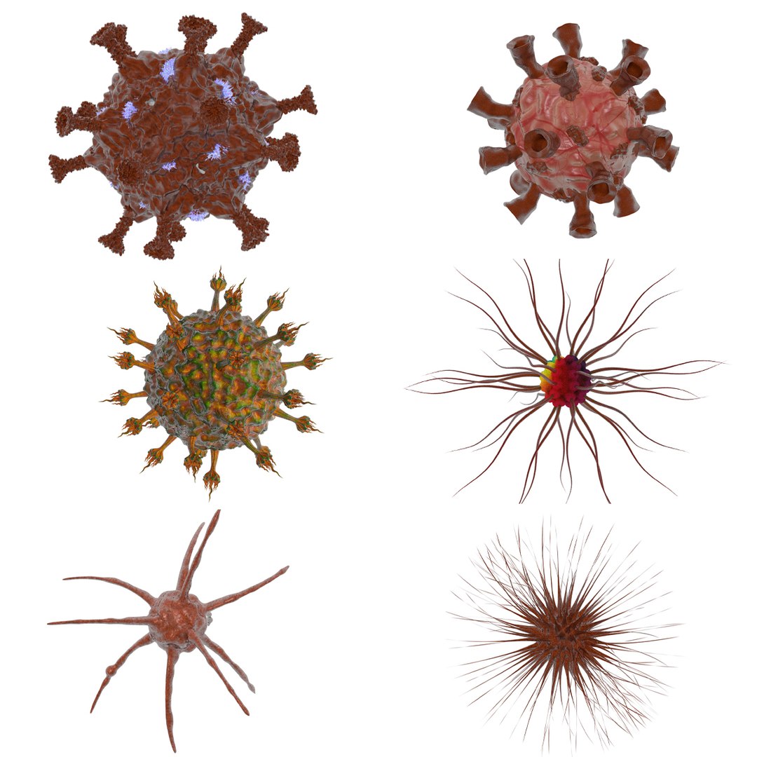 - 3D model https://p.turbosquid.com/ts-thumb/15/Clzd4q/SG/my_colection_corona_fix/jpg/1611496883/1920x1080/fit_q87/b2d040e8ddd07f7efb4b072389113c235a1694f6/my_colection_corona_fix.jpg