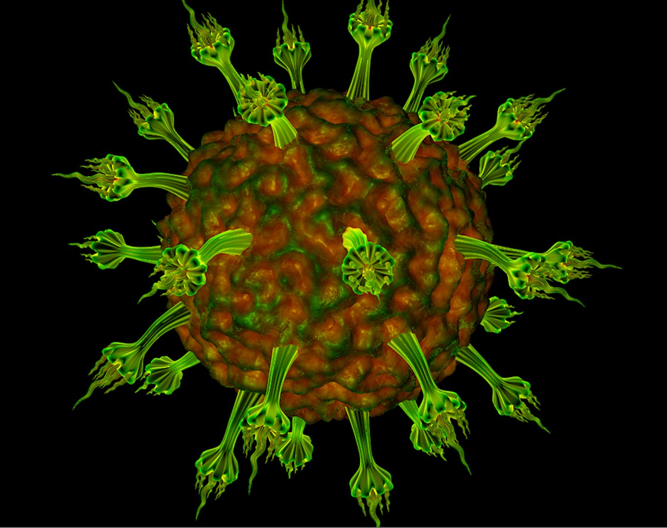- 3D model https://p.turbosquid.com/ts-thumb/15/Clzd4q/cd/1coeers2/png/1611434751/1920x1080/fit_q87/64aa862b76583b9d6938b931eaef8e743471f38c/1coeers2.jpg