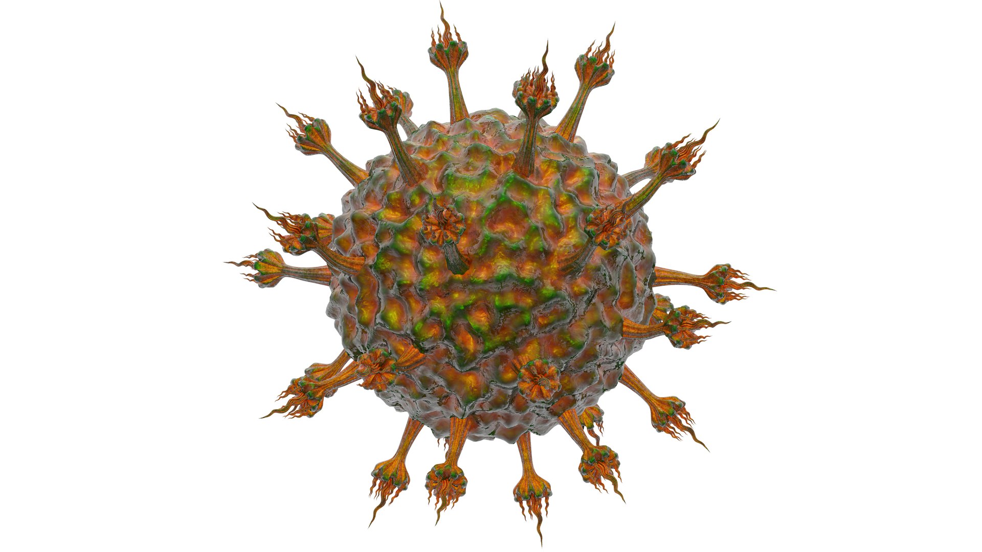 - 3D model https://p.turbosquid.com/ts-thumb/15/Clzd4q/df/7cor0000/png/1611441155/1920x1080/fit_q87/f8184d1697696e52570317e3c54c60c11b1f5004/7cor0000.jpg