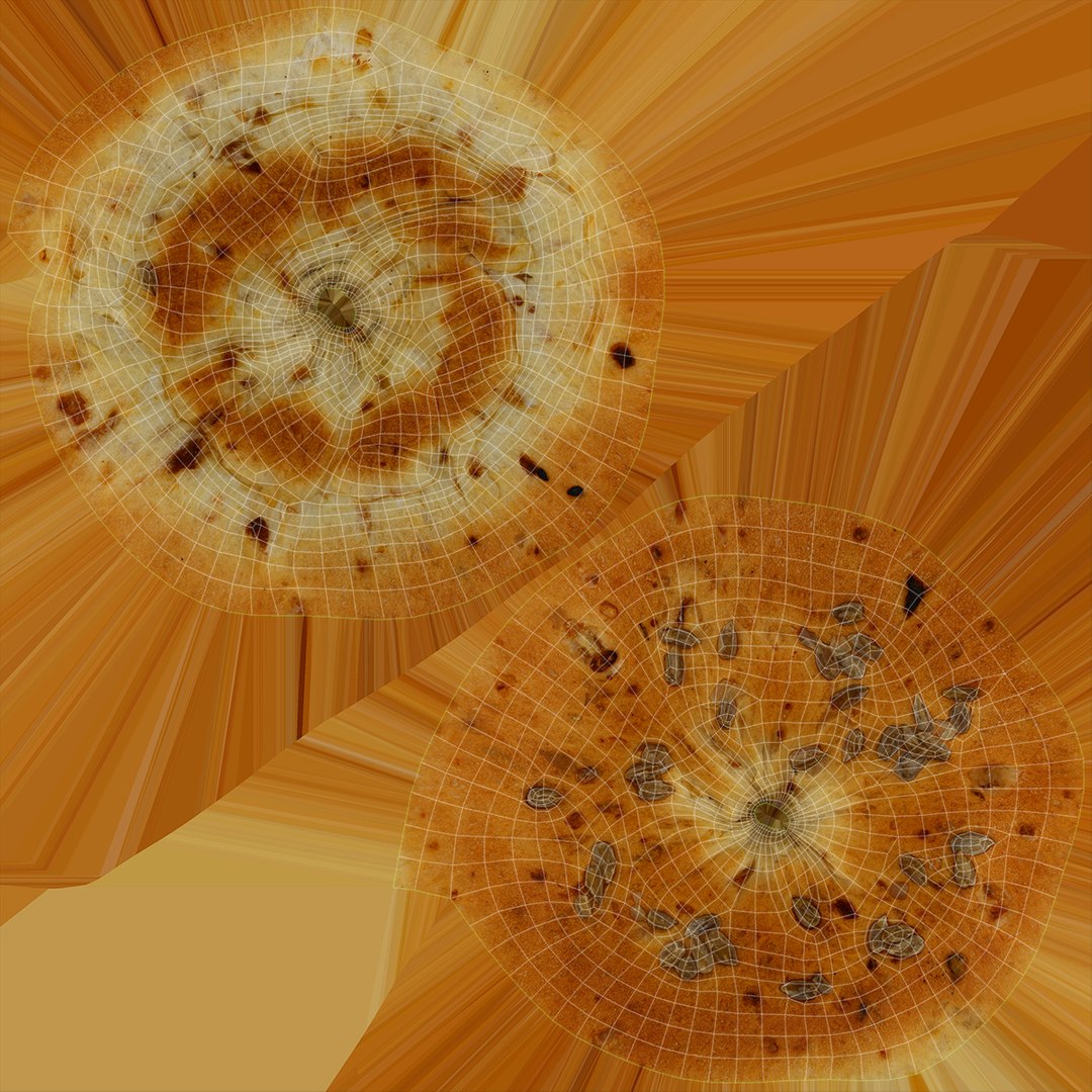 3D Sunflower Bagel https://p.turbosquid.com/ts-thumb/15/IkfsQj/UQ/sunflowerbagel_f0004/jpg/1629367589/1920x1080/fit_q87/b3894bada4b9c1c4aad0657236c7556ebd87fd18/sunflowerbagel_f0004.jpg