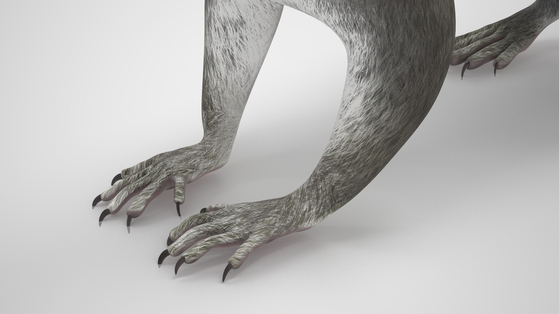 Gray Squirrel Rigged For Maya 3D Model - TurboSquid 2280287