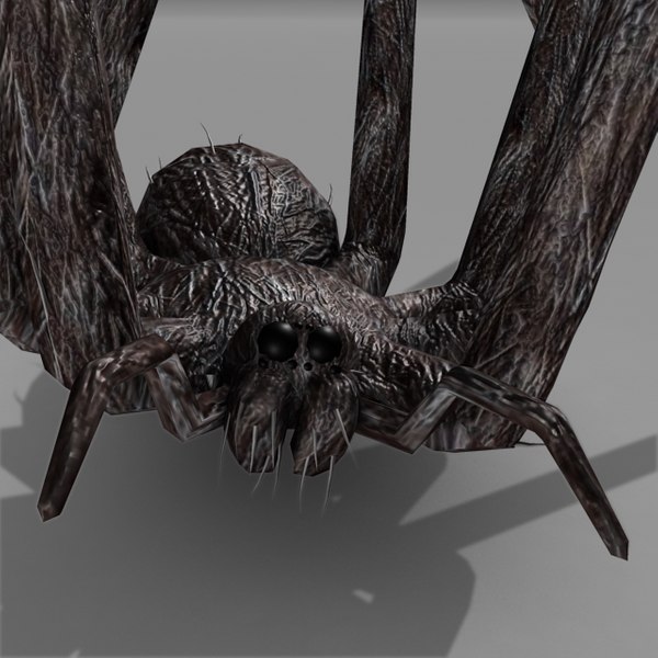 3D OBJ spider model bug