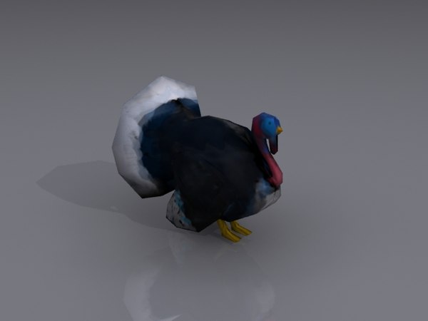 Turkey 3d Models For Download Turbosquid 8390