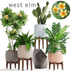 3D plants pots west model