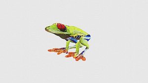 3D Low Poly Tree Frog Rigged With Realistic Texture