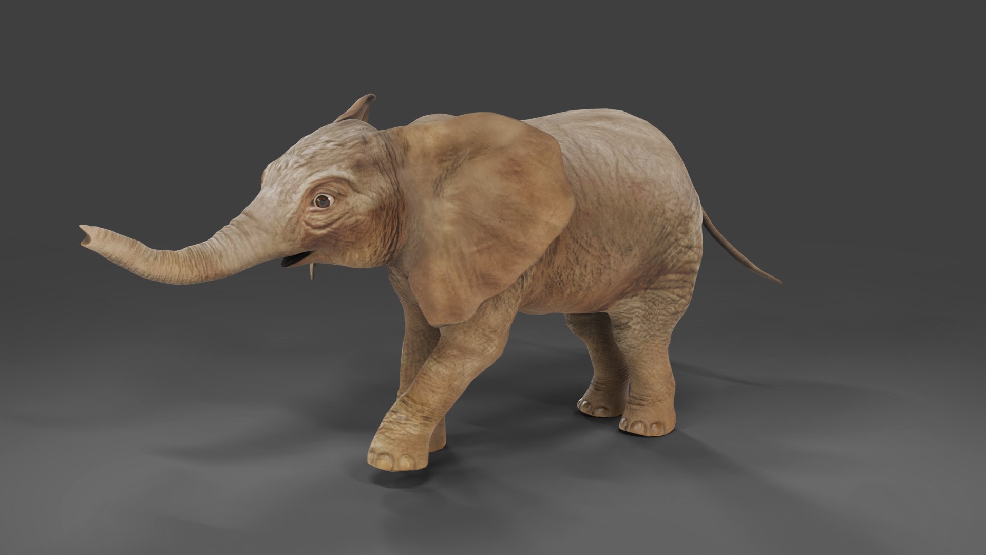 Baby Elephant Rigged and Animation Unity V02 3D model - TurboSquid 2013992