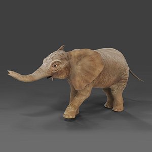 Baby Elephant Rigged and Animation Unity V02 3D model