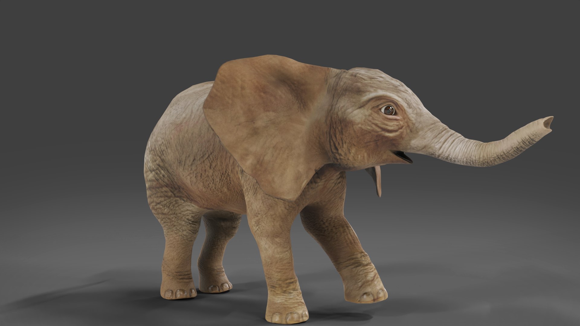 Baby Elephant Rigged and Animation Unity V02 3D model - TurboSquid 2013992