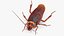 Animated Cockroach Creeps Rigged for Maya