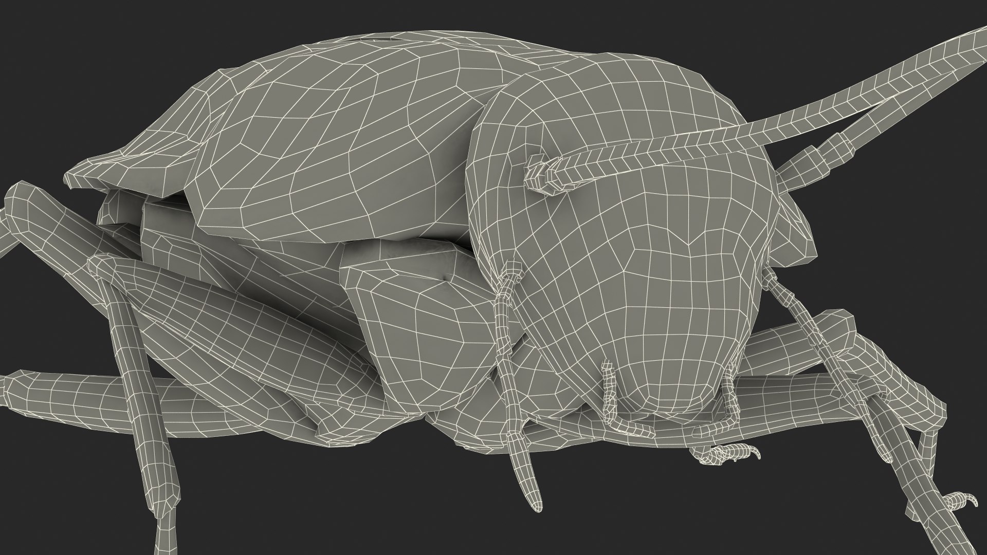 Animated Cockroach Creeps Rigged for Maya 3D model https://p.turbosquid.com/ts-thumb/15/lxi6Db/GW/animatedcockroachcreepsriggedformayac4dmodel021/jpg/1690517568/1920x1080/fit_q87/352b792895a0293a8a42109ef5e12aec333a4cdd/animatedcockroachcreepsriggedformayac4dmodel021.jpg