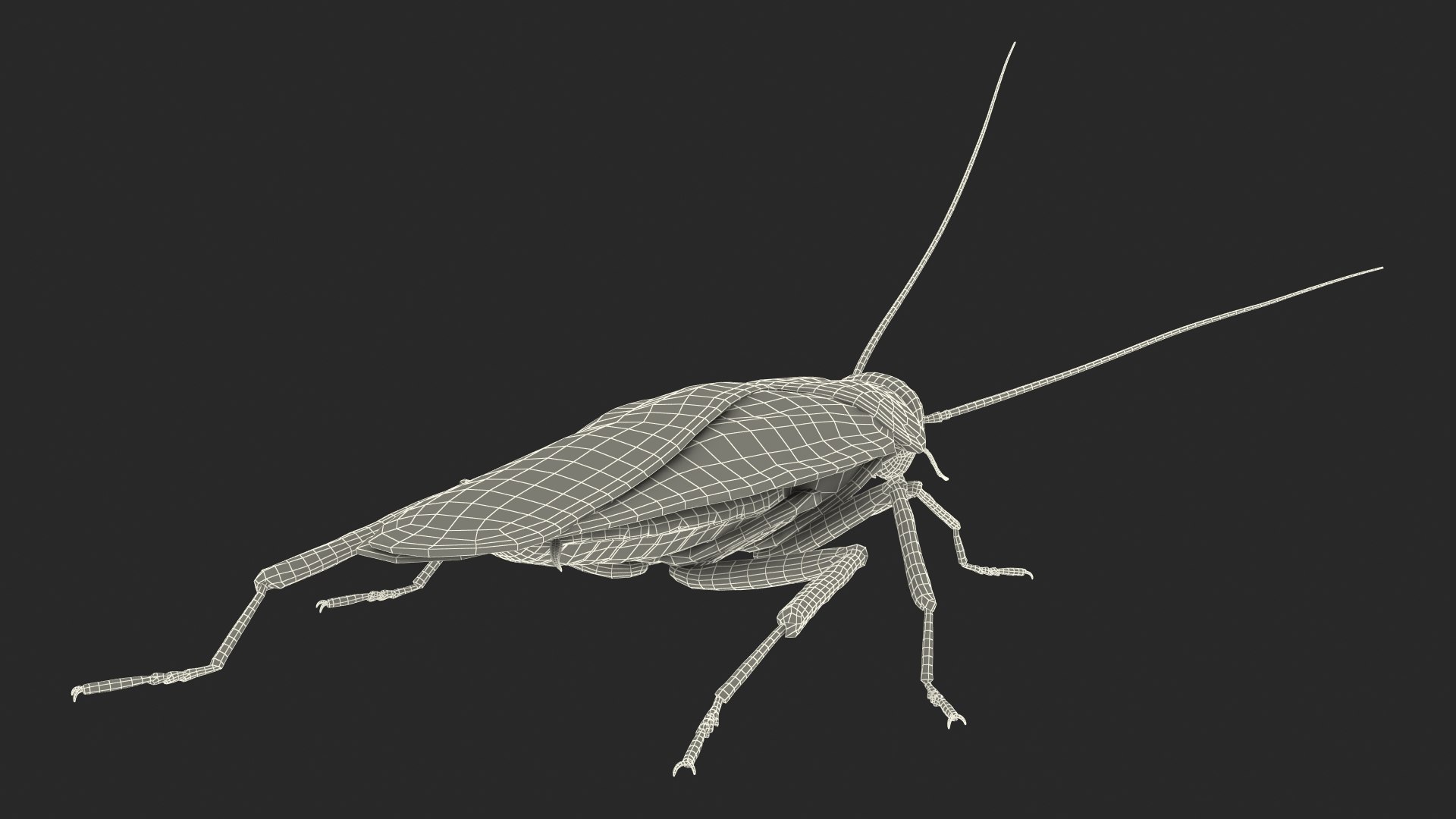Animated Cockroach Creeps Rigged for Maya 3D model https://p.turbosquid.com/ts-thumb/15/lxi6Db/z7/animatedcockroachcreepsriggedformayac4dmodel019/jpg/1690517560/1920x1080/fit_q87/e0f27a24dd8befc0977da1865f035360d3f0a12d/animatedcockroachcreepsriggedformayac4dmodel019.jpg