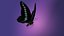 3D model Butterfly Graphium Sarpedon