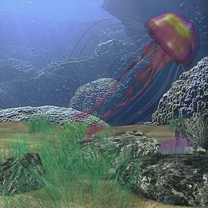 3d rigged jellyfish model