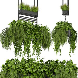 Collection plant vol 277 - Indoor - ampelous - hanging - 3dmax- 3dmodel - fbx - obj model