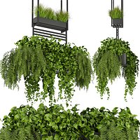 Collection plant vol 277 - Indoor - ampelous - hanging - 3dmax- 3dmodel - fbx - obj
