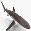 Collection Requins 5