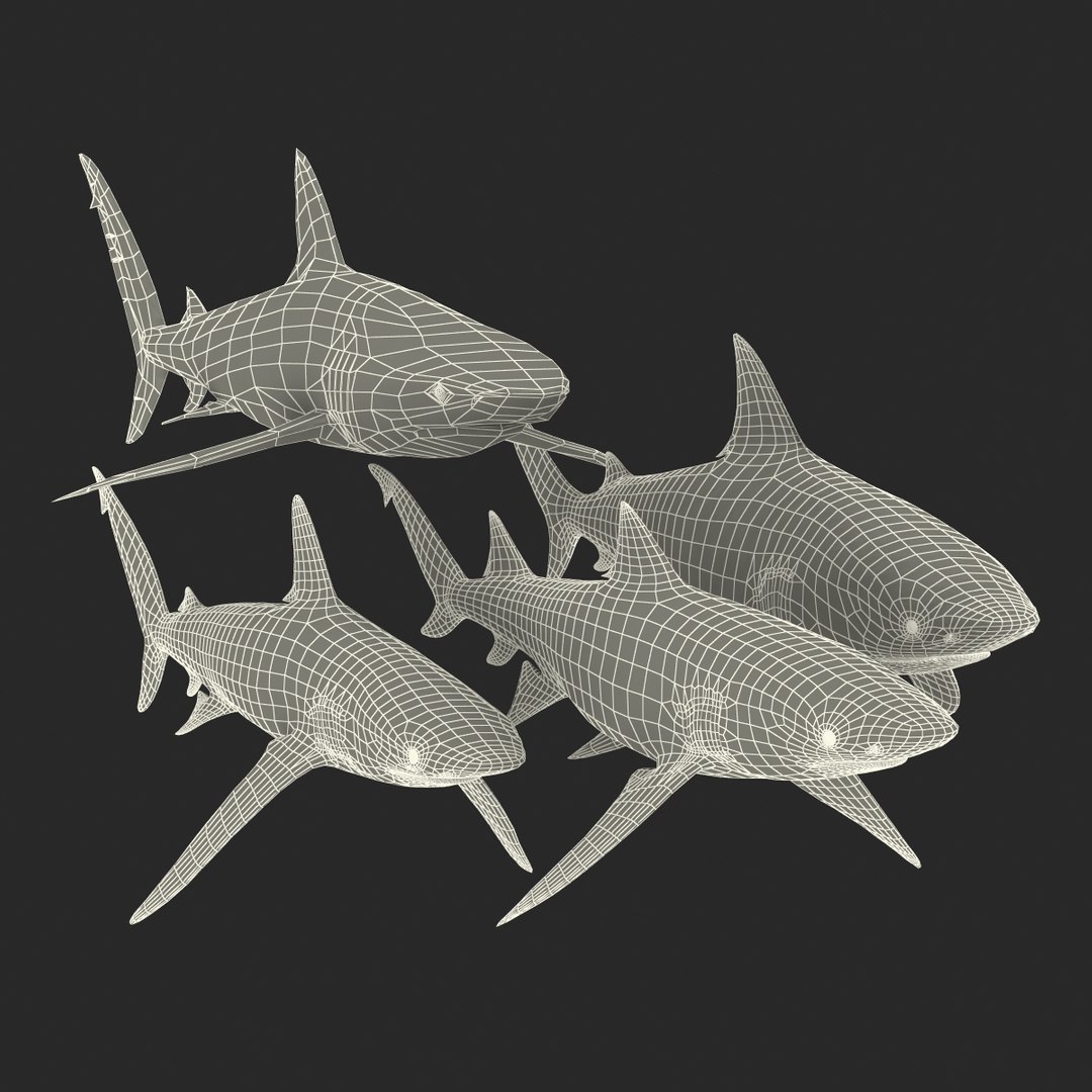 sharks 5 3ds https://p.turbosquid.com/ts-thumb/16/6omlE2/2bAA43rC/3dmodelsofsharkscollection092/jpg/1452931565/1920x1080/fit_q87/356dc52c150c1db5127004b5c47c77ba04e1306a/3dmodelsofsharkscollection092.jpg