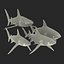 Collection Requins 5