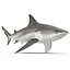 Collection Requins 5