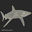 Collection Requins 5