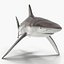 Collection Requins 5