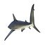 Collection Requins 5