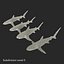 Collection Requins 5