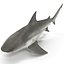 Collection Requins 5