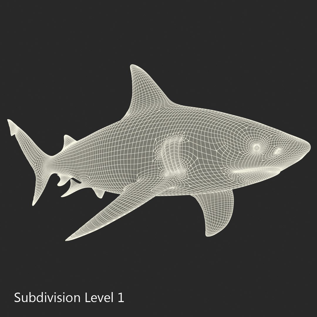 sharks 5 3ds https://p.turbosquid.com/ts-thumb/16/6omlE2/FaseN7Nr/3dmodelsofsharkscollection074/jpg/1452931563/1920x1080/fit_q87/f96284f3b2e6686a1009ce2b8aafb6bd5a964acf/3dmodelsofsharkscollection074.jpg