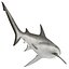 Collection Requins 5