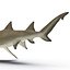 Collection Requins 5
