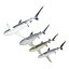 Collection Requins 5