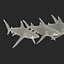 Collection Requins 5