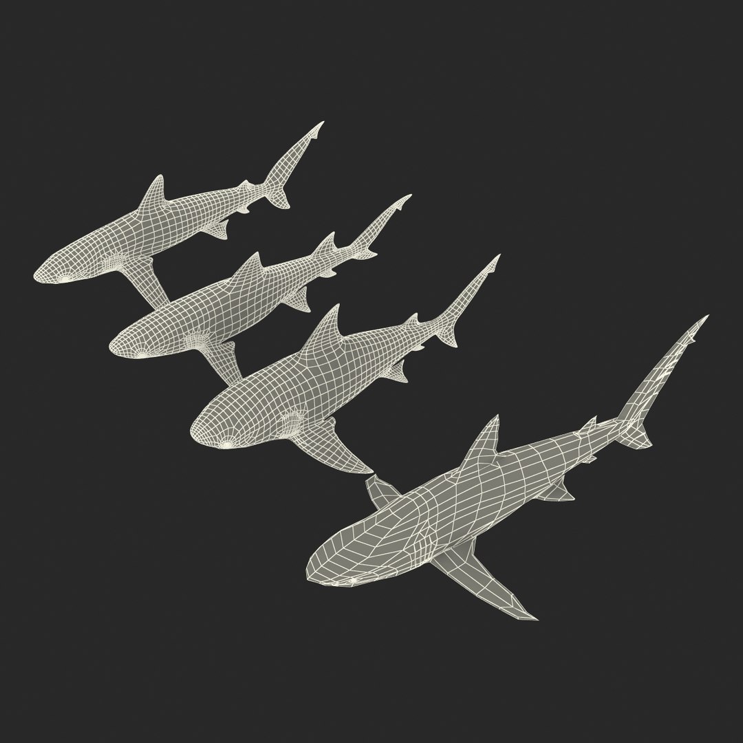 sharks 5 3ds https://p.turbosquid.com/ts-thumb/16/6omlE2/HE9QbF6V/3dmodelsofsharkscollection090/jpg/1452931565/1920x1080/fit_q87/820a5fd3bd8bb895568c27818cb462e59a8c5a71/3dmodelsofsharkscollection090.jpg